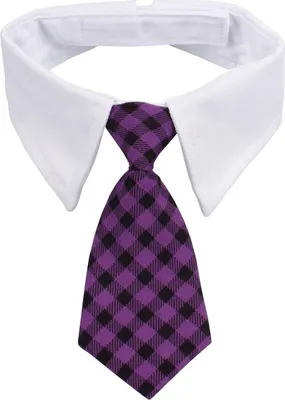 Image de Gentledog cravate pour chien violet taille S