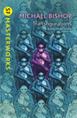 Produktbild von Transfigurations