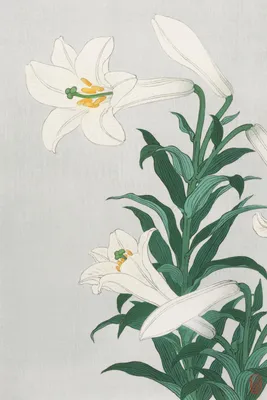 Zdjęcie produktu dla Plakat 40x60cm Lilies, Koson Japoński Vintage do Salonu