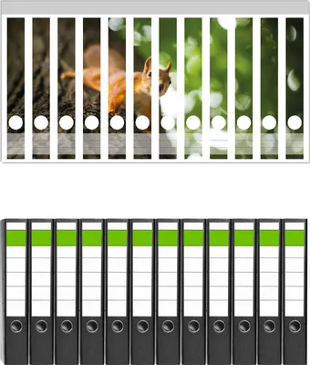 Produktbild von Wallario 12 Stück schmale Ordner inkl. Klebeetiketten mit Motive Süßes neugieries Eichhörnchen an einem Baum -  Set mit Rückenschildern / Ordnerrücken Stickern