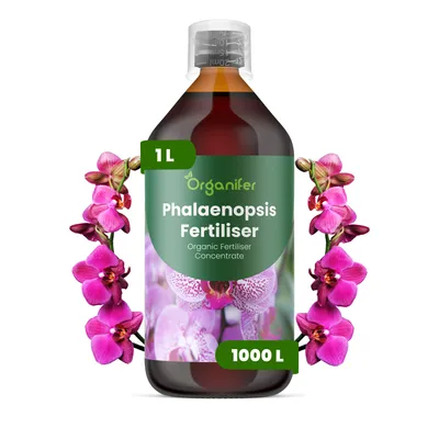 Produktbild von Phalaenopsis Flüssigdünger 1L – 3-4-3 NPK – Flüssig-Pflanzendünger für Phalaenopsis Orchideen – Organifer