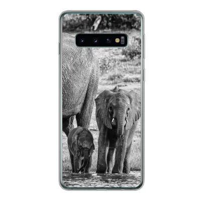 Produktbild von MuchoWow® Handyhülle Schutzhülle Hülle für Samsung Galaxy S10 Elefant - Wasser - Tiere - Schwarz - Weiß Silikon Softcase Handy Hülle - Handytasche