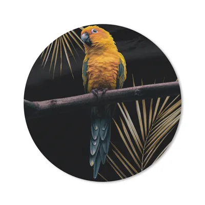 Produktbild von MuchoWow® Mauspad Mousepad Vogel - Papagei - Zweig - Farn 40x40 cm - Mousepads - Maus Mat - Pad - Mausunterlage - Schreibtisch Accessoires
