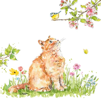 Produktbild von Servietten 33x33 cm - Cat & Bird Napkin