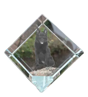 Produktbild von Schipperke Kristallwürfel mit Hund Art-Dog