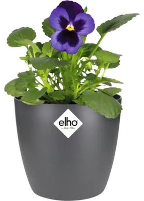 Zdjęcie produktu dla elho brussels round mini 10,5cm, Sadzarka w doniczce, Wolnostojący, Polipropylen (PP), Antracyt, Okrągły, Wewnętrzna