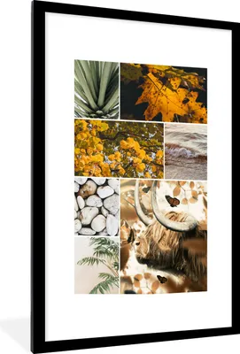 Produktbild von MuchoWow® MuchoWow® Gerahmtes Poster Schottische Hochlandrind - Collage - Meer - Pflanzen 60x90 cm - Poster mit zchwarzem Bilderrahmen - Dekoration - Wandposter Wohnzimmer - Hochwertig