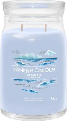 Produktbild von Yankee Candle Signature, Zylinder, Blau, Bernstein, Jasmin, Sandelholz, 90 h, 1 Stück(e)