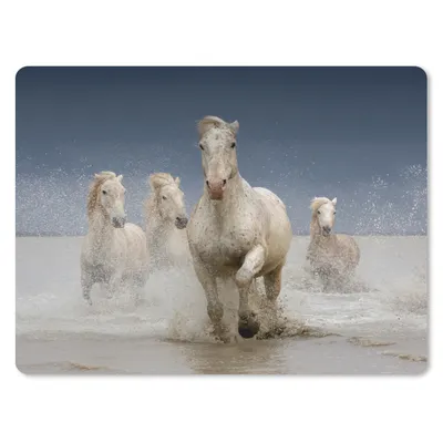 Produktbild von MuchoWow® Mauspad Mousepad Pferde - Wasser - Schlamm 40x30 cm - Mousepads - Maus Mat - Pad - Mausunterlage - Anti Rutsch