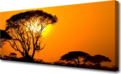 Produktbild von Tulup Leinwand-Bilder 125x50 Wandbild Canvas Kunstdruck Bäume Sonne Natur