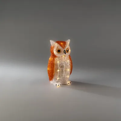 Produktbild von Konstsmide 6209-103 LED Acryl Eule, 24 warmweiße Dioden, 6h Timer, batteriebetrieben (4XAA exkl.), transparentes Kabel, Außen