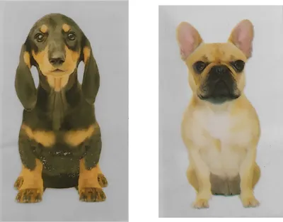 Produktbild von Hunde Lesezeichen im 100er Set