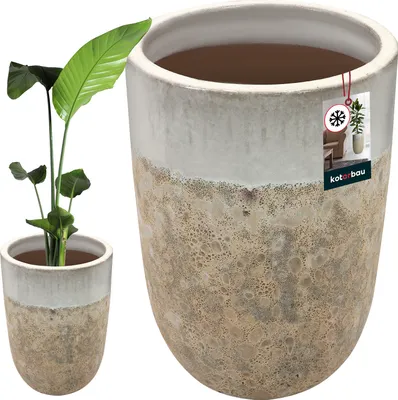 A plant in a pot next to a larger, empty pot.