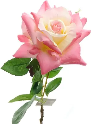 Produktbild von GASPER Rose Rosa & Cremeweiß 53 cm - Kunstblumen