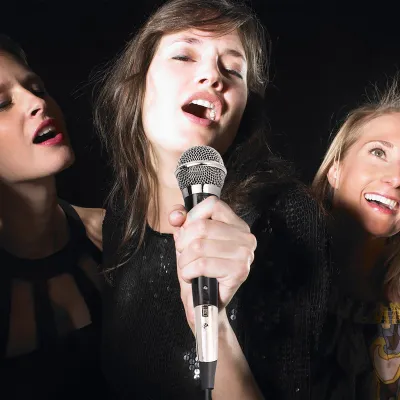 Obrázek produktu pro Ruční profesionální drátový dynamický mikrofon Clear Voice pro karaoke vokální hudební vystoupení