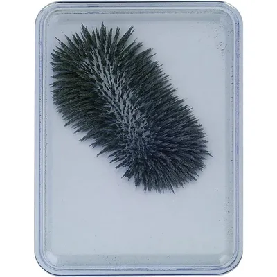 Produktbild von EDUPLAY 120-107 Eisenpulver-Box für Magnetfeld-Experimente, 9 x 6,5 x 1 cm (ohne Magnet), grau