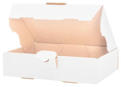 Productafbeelding van Set van 100 Maxibrief dozen, afmetingen 180 x 130 x 45 mm