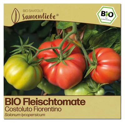 Produktbild von Samenliebe  Tomate Samen | Costoluto Fiorentino - rot & stark gerippt - samenfestes  Saatgut