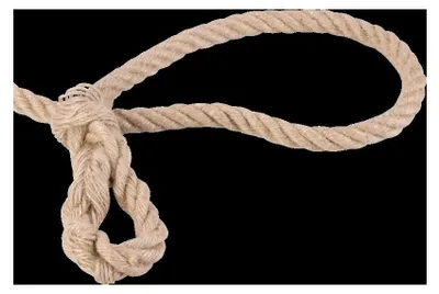 Image de Corde de jute, Ø 12 mm x 10 m