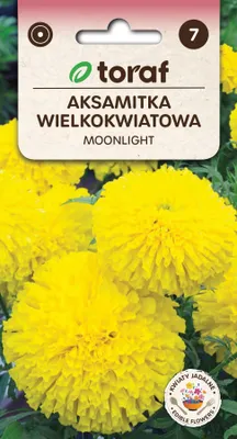 Zdjęcie produktu dla Nasiona kwiatów Aksamitka WIELKOKWIATOWA Żółta Toraf nasiona 413