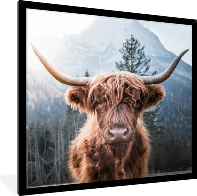 Produktbild von MuchoWow® Gerahmtes Poster Schottische Highlander - Berge - Landschaft 40x40 cm - Poster mit Schwarzem Bilderrahmen Wandposter Rahmen Foto Bilder - Mit Rahmen - Wanddekoration Schlafzimmer