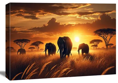 Produktbild von 5050 Leinwandbild Afrika Savanne Elefanten 120x80 cm