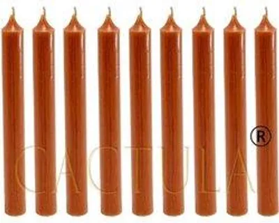 Cactula Stabkerzen – Cognac – 18 Stück – 19,5 cm – Ø 2,1 cm