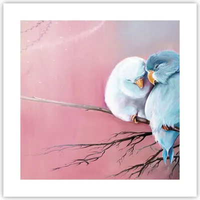 Produktbild von Poster - Poster ohne Rahmen - Vögel Blau Zweig - 40x40 cm - Wand Bild - Wanddeko - Wandbilder - Kunstposter - Wandposter - Bilder - Kunstdruck - Wanddekoration - Wandbild - P2XAC40x40-5026