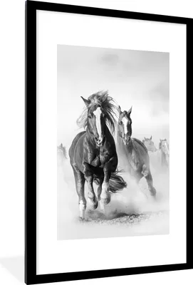 Produktbild von MuchoWow® Gerahmtes Poster Pferde - Tiere - Illustration 60x90 cm - Poster mit Schwarzem Bilderrahmen Wandposter Rahmen Foto Bilder - Dekoration - Wandposter Wohnzimmer - Hochwertig