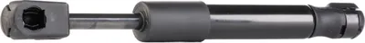 Produktbild von RIDEX 219G0210 Gasfeder Heckklappendämpfer für VW Golf IV Cabrio (1E) 175mm