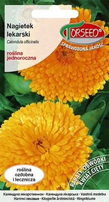 Produktbild von Samen der Ringelblume - Torseed