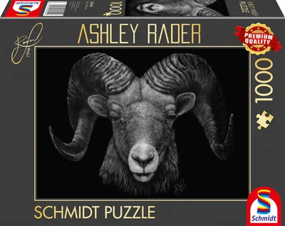 Produktbild von Schmidt Spiele 58540, Junge/Mädchen, Mehrfarbig, Junge/Mädchen