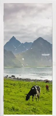 Produktbild von MuchoWow® Türtapete Selbstklebende Türfolie Kuh - Berg - Meer 90x235 cm Türposter Türaufkleber Klebefolie Türklebefolie - XXL-Plakaten - Foster für Türen - Aufkleber