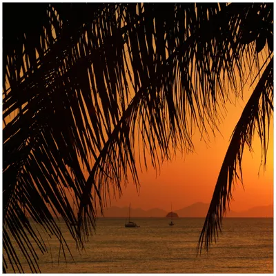 Produktbild von Wallario Möbeldesign / Aufkleber, geeignet für Ikea Lack Tisch - Sonnenuntergang unter Palmenblättern in 55 x 55 cm
