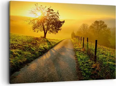 Produktbild von Bild auf Leinwand - Leinwandbild - Feld Straße Baum - 100x70cm - Wand Bild - Wanddeko - Wandbilder - Leinwanddruck - Bilder - Kunstdruck - Wanddekoration - Leinwand bilder - Wandkunst - AA100x70-3851