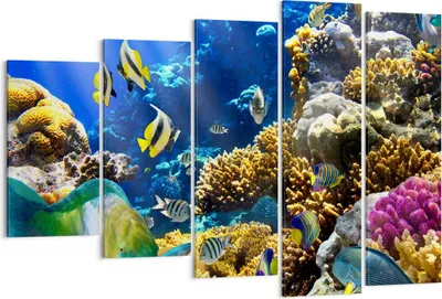 Produktbild von Bild auf Leinwand - Leinwandbild - Korallenriff Ozean Krabbe Fisch - 150x100cm - Wand Bild - Wanddeko - Leinwanddruck - Bilder - Kunstdruck - Leinwand bilder - Wandkunst - EG150x100-2662