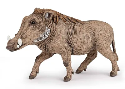 Produktbild von Papo Wild Life Warzenschwein 50180