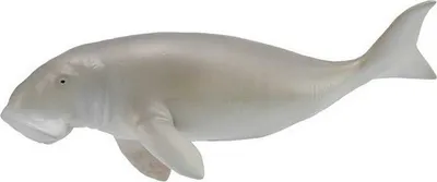 Produktbild von COLLECTA Indische Seekuh - (L)
