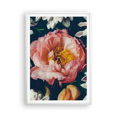 Produktbild von Gerahmtes Poster - Weißer Rahmen - Blumen Pfingstrose Holzig - 70x100 cm - Wand Bild - Wanddeko - Wandbilder - Kunstposter - Wandposter - Bilderrahmen - Bilder - Kunstdruck - P2WPA70x100-4661