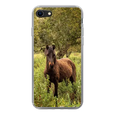 Produktbild von MuchoWow® Handyhülle Schutzhülle Hülle für iPhone SE 2020 Pferd - Wald - Gras Silikon Softcase Handy Hülle - Kartenbesitzer