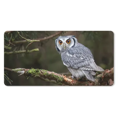 Produktbild von MuchoWow® Schreibtischunterlage Eule - Vogel - Äste - Natur 80x40 cm - XXL Mauspad - Gaming Mauspad