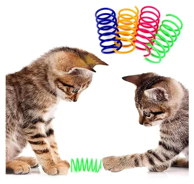 Produktbild von Katzenspielzeug mit Spiralfedern, Interaktives Spielzeug, 4 Stück