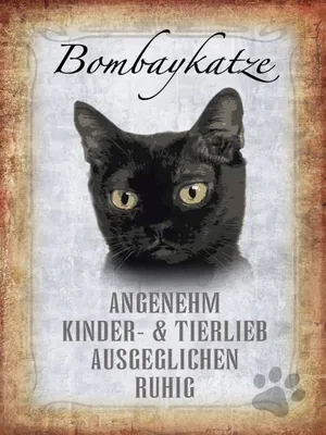 Produktbild von vianmo Holzschild 40x30 cm Bombaykatze Katze