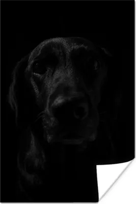 Produktbild von MuchoWow® Poster Hund - Haustier - Schwarz 120x180 cm - Kunstposter