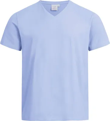 Produktbild von Greiff SHIRTS Herren Shirt Kurzarm V-Neck Regular-Fit Hellblau XL