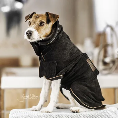 Immagine prodotto di Asciugamano per cani Kentucky Dogwear - Nero