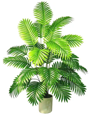 Produktbild von Kunststoff-Palmbaum 120 cm hoch mit 24 Zweigen für Innen- und Außenbereich