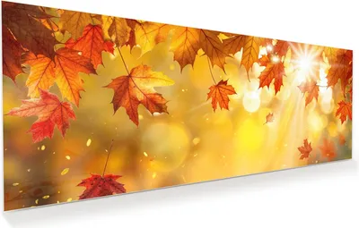 Produktbild von Glasbild 100x40cm in XXL für Wohnzimmer, Schlafzimmer Motiv Herbstblätter Sonne