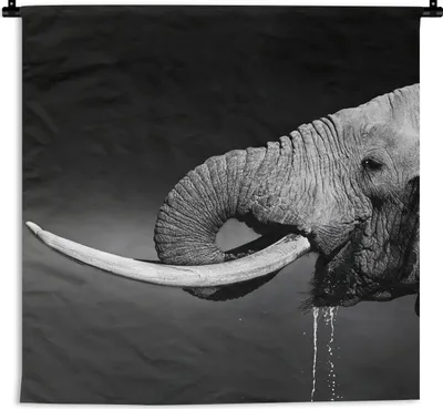 Produktbild von MuchoWow® Wandteppich Wandbehang Elefant - Wasser - Tiere - Schwarz - Weiß 60x60 cm Tapisserie Dekoration Wandtuch - Dekorationen - Wand Decke