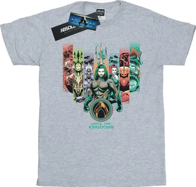 Produktbild von DC Comics - "Unite The Kingdoms" T-Shirt für Damen BI10275 (S) (Grau)